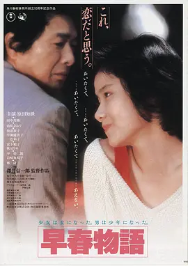 夫妻二人看的电影 爱在黎明破晓前 海报